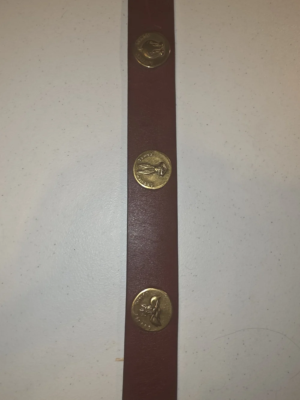 Warner Brthers Brown Leather Men's Belt with Gold Coin Accents